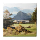 Search for farming tiles Sheep