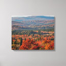 Search for hampshire canvas prints White mountain