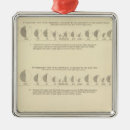 Search for statistics ornaments United