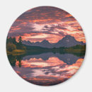 Search for large snake magnets Wyoming