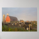 Search for holstein dairy cow posters Barn