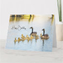 Search for goose birthday cards Waterfowl