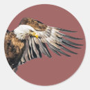 Search for eagle wings stickers Wildlife