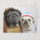 Search for mop postcards Dog