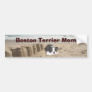Search for terrier bumper stickers Boston terriers