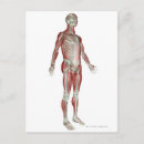 Search for musculoskeletal posters People