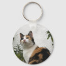 Search for tortoiseshell keychains Cat