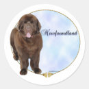 Search for with picture stickers Dog