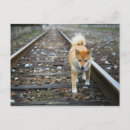 Search for track postcards Outdoors