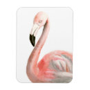 Recherche de rose flamant magnets Tropical