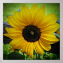 Recherche de petite abeille art Tournesol