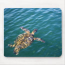 Recherche de tortue mer tapis souris Île
