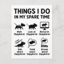 Search for capybaras postcards Cute capybara