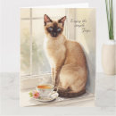 Search for cat retirement Drinking
