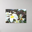Search for plumeria canvas prints Tropical