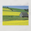 Search for potlatch Yellow