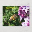 Search for flying bee postcards Garden