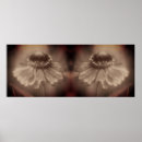 Search for sepia posters Floral