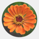 Search for single flower stickers Photograph