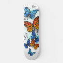 Search for monarch skateboards Orange