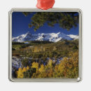 Recherche de aspen colorado ornaments Peuplier