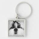 Search for shih tzu keychains Black and white