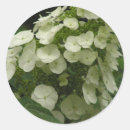 Search for native plant stickers Gardening