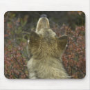 Search for wolf pack mousepads Canine