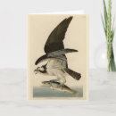 Recherche de faucon vœux cartes Illustration