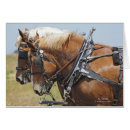 Recherche de cheval belge cartes postales Ferme