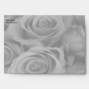 Recherche de rose photographie enveloppes Fleurs