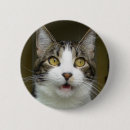 Search for shocking buttons Shocked
