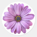 Search for daisy stickers Flowers