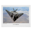Search for nighthawk posters Fighter