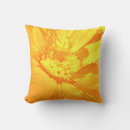 Search for calendula Orange