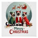Recherche de elfes de noël posters Drôle