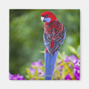 Search for backdrop magnets Outdoors