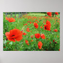 Search for romantic bedroom posters Beautiful