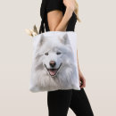 Search for fluffy white bags Dog