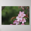 Recherche de toile posters Pittoresque