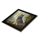 Search for wildlife tiles Wild animals