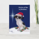 Search for thinking of you christmas cards Dog
