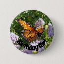 Search for butterfly lovers buttons For her