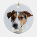Search for jack russell ornaments Cute