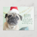 Search for australia christmas cards Pets