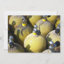 Search for scuba dive invitations Diving