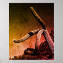 Recherche de orgue posters Arizona