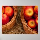 Recherche de pommes posters Décoration