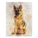 Search for german shepherd photo posters Portrait