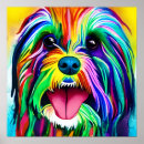 Search for tibetan terrier posters Puppy